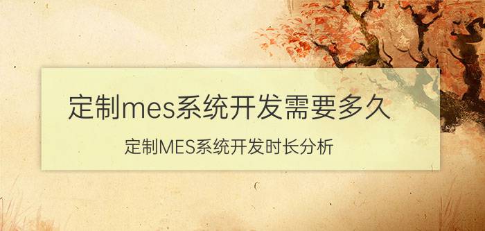 定制mes系统开发需要多久 定制MES系统开发时长分析